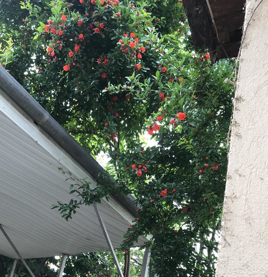 Гостевой дом Guest House Bedouin Тбилиси-25